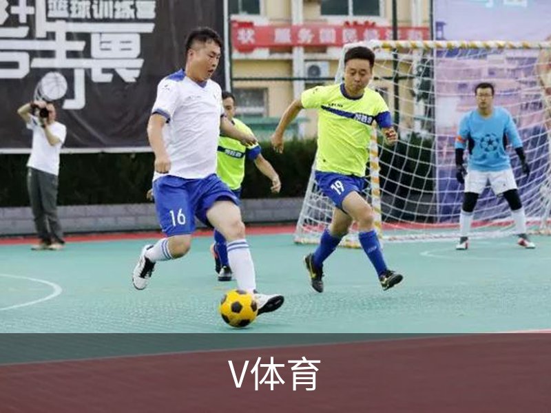 V体育介绍